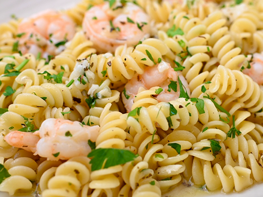 shrimp alfredo